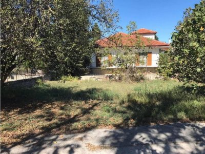 ΟΙΚΟΠΕΔΟ_ΑΟ132 ΟΤ33 ΠΕΔΙΝΗ