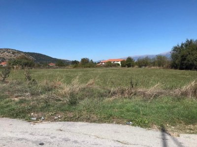 ΑΓΡΟΤΕΜΑΧΙΟ_ΑΚ 799 ΘΕΣΗ «ΣΤΑΥΡΟΣ» ΠΕΔΙΝΗ