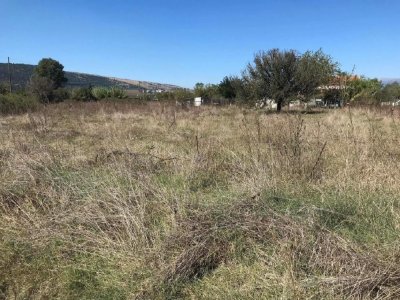 ΑΓΡΟΤΕΜΑΧΙΟ_ΑΚ1448 ΘΕΣΗ «ΒΟΪΔΟΛΙΒΑΔΟ» ΠΕΔΙΝΗ