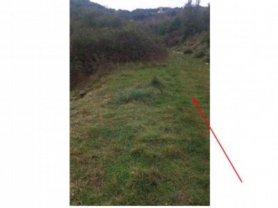 ΑΓΡΟΤΕΜΑΧΙΟ_ΘΕΣΗ "ΠΑΣΣΑ ΦΤΕΡΗ" ΚΟΣΜΗΡΑ ΙΩΑΝΝΙΝΩΝ