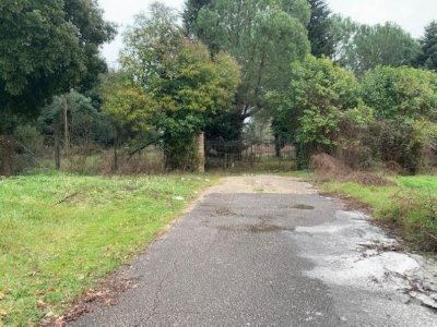 ΑΓΡΟΤΕΜΑΧΙΟ_ΘΕΣΗ "ΑΓΙΟΙ ΑΠΟΣΤΟΛΟΙ" ΠΕΔΙΝΗ ΙΩΑΝΝΙΝΑ