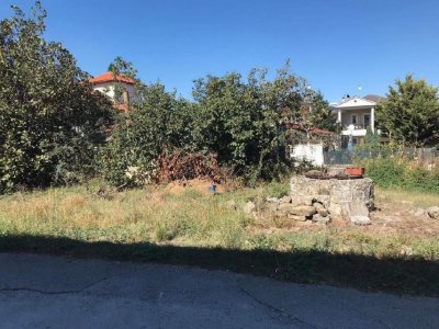 ΟΙΚΟΠΕΔΟ_ΑΟ134 ΟΤ33 ΠΕΔΙΝΗ