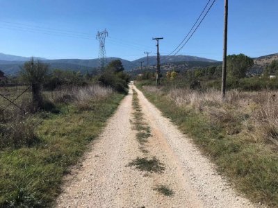 ΑΓΡΟΤΕΜΑΧΙΟ_ΑΚ1448 ΘΕΣΗ «ΒΟΪΔΟΛΙΒΑΔΟ» ΠΕΔΙΝΗ