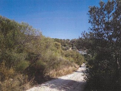 ΑΓΡΟΤΕΜΑΧΙΟ_ΑΡΙΘΜΟΣ 1196 ΑΡΙΛΛΑΣ ΠΕΡΔΙΚΑ ΘΕΣΠΡΩΤΙΑΣ