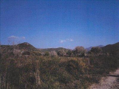 ΑΓΡΟΤΕΜΑΧΙΟ_ΑΡΙΘΜΟΣ 1876 ΚΑΡΑΒΟΣΤΑΣΙ ΠΕΡΔΙΚΑ