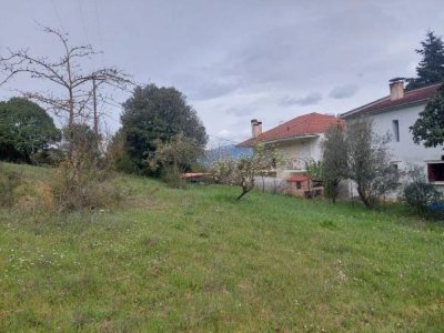 ΣΓΡΟΤΕΜΑΧΙΟ 2_«ΛΑΚΚΟΣ ΜΠΕΡΣΙΤΗ» ΣΤΑΥΡΑΚΙ ΙΩΑΝΝΙΝΩΝ