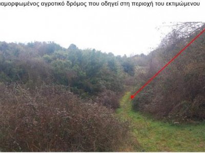 ΑΓΡΟΤΕΜΑΧΙΟ_ΘΕΣΗ "ΠΑΣΣΑ ΦΤΕΡΗ" ΚΟΣΜΗΡΑ ΙΩΑΝΝΙΝΩΝ