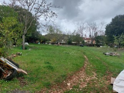 ΑΓΡΟΤΕΜΑΧΙΟ 1_«ΛΑΚΚΟΣ ΜΠΕΡΣΙΤΗ» ΣΤΑΥΡΑΚΙ ΙΩΑΝΝΙΝΩΝ