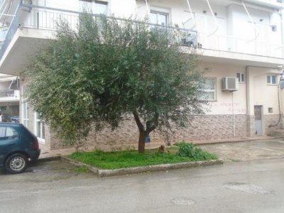 Ι ΚΑΤΑΣΤΗΜΑ ΙΣΟΓΕΙΟΥ_ΜΑΡΚΟΥ ΜΠΟΤΣΑΡΗ & ΗΡΑΚΛΗ ΝΤΟΥΣΙΑ ΠΡΕΒΕΖΑ