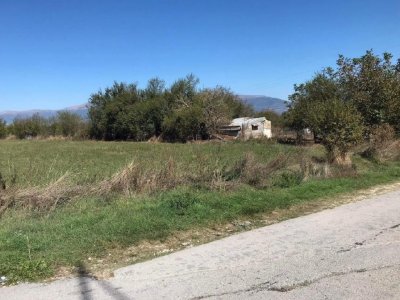 ΑΓΡΟΤΕΜΑΧΙΟ_ΑΚ 799 ΘΕΣΗ «ΣΤΑΥΡΟΣ» ΠΕΔΙΝΗ