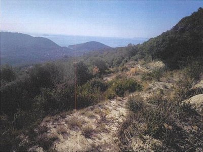 ΑΓΡΟΤΕΜΑΧΙΟ_ΑΡΙΘΜΟΣ 1196 ΑΡΙΛΛΑΣ ΠΕΡΔΙΚΑ ΘΕΣΠΡΩΤΙΑΣ