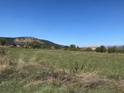 ΑΓΡΟΤΕΜΑΧΙΟ_ΑΚ 799 ΘΕΣΗ «ΣΤΑΥΡΟΣ» ΠΕΔΙΝΗ
