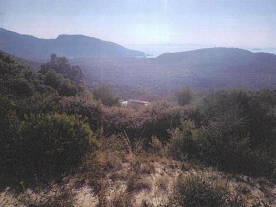 ΑΓΡΟΤΕΜΑΧΙΟ_ΑΡΙΘΜΟΣ 1196 ΑΡΙΛΛΑΣ ΠΕΡΔΙΚΑ ΘΕΣΠΡΩΤΙΑΣ