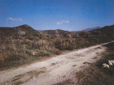 ΑΓΡΟΤΕΜΑΧΙΟ_ΑΡΙΘΜΟΣ 1876 ΚΑΡΑΒΟΣΤΑΣΙ ΠΕΡΔΙΚΑ
