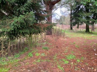 ΑΓΡΟΤΕΜΑΧΙΟ_ΘΕΣΗ "ΑΓΙΟΙ ΑΠΟΣΤΟΛΟΙ" ΠΕΔΙΝΗ ΙΩΑΝΝΙΝΑ