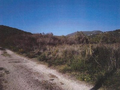 ΑΓΡΟΤΕΜΑΧΙΟ_ΑΡΙΘΜΟΣ 1875 ΚΑΡΑΒΟΣΤΑΣΙ ΠΕΡΔΙΚΑ