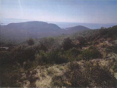 ΑΓΡΟΤΕΜΑΧΙΟ_ΑΡΙΘΜΟΣ 1196 ΑΡΙΛΛΑΣ ΠΕΡΔΙΚΑ ΘΕΣΠΡΩΤΙΑΣ