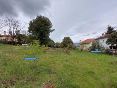 ΣΓΡΟΤΕΜΑΧΙΟ 2_«ΛΑΚΚΟΣ ΜΠΕΡΣΙΤΗ» ΣΤΑΥΡΑΚΙ ΙΩΑΝΝΙΝΩΝ