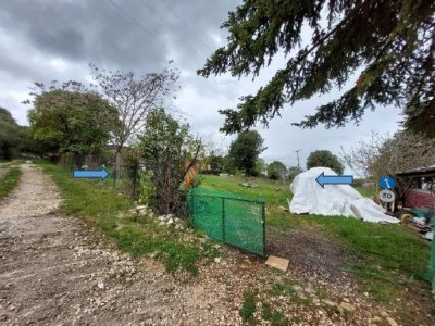 ΑΓΡΟΤΕΜΑΧΙΟ 1_«ΛΑΚΚΟΣ ΜΠΕΡΣΙΤΗ» ΣΤΑΥΡΑΚΙ ΙΩΑΝΝΙΝΩΝ