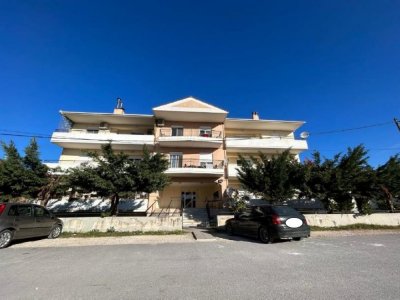 Ι2 ΔΙΑΜΕΡΙΣΜΑ ΙΣΟΓΕΙΟΥ_ΑΝΕΞΑΡΤΗΣΙΑΣ 5 ΑΝΑΤΟΛΗ ΙΩΑΝΝΙΝΩΝ
